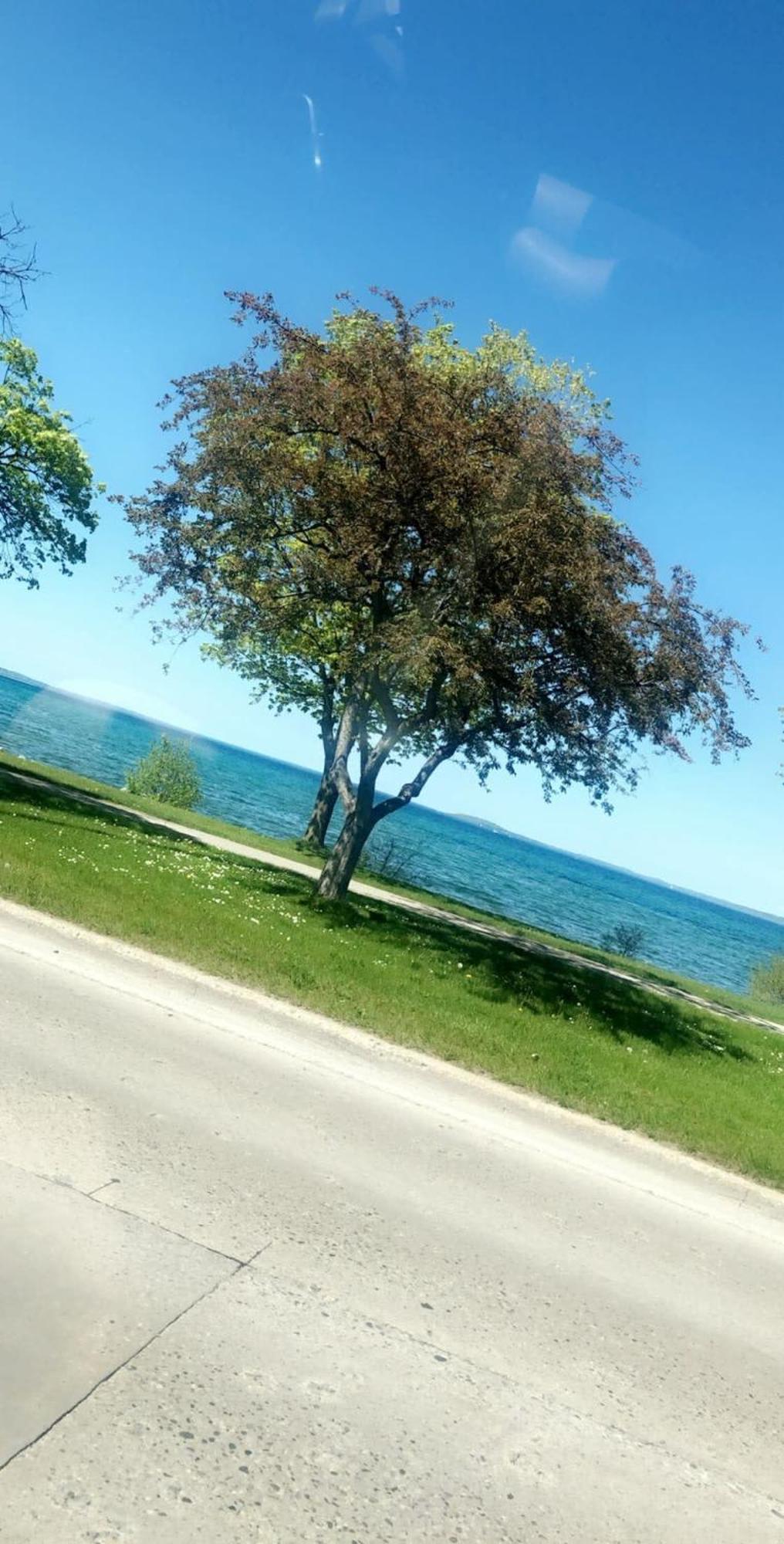Location Location - Capri Condo 212 Traverse City Zewnętrze zdjęcie